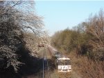 Trains and spring flowers 